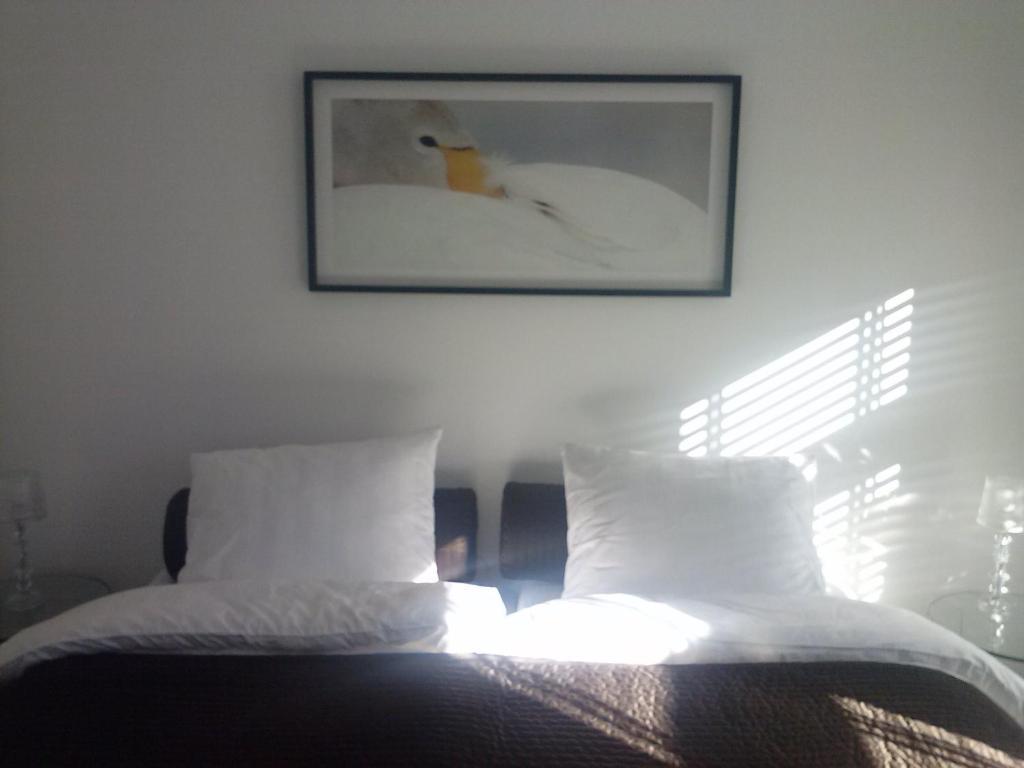 B&B Byboukje Earnewâld Quarto foto